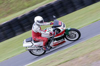 Vintage-motorcycle-club;eventdigitalimages;mallory-park;mallory-park-trackday-photographs;no-limits-trackdays;peter-wileman-photography;trackday-digital-images;trackday-photos;vmcc-festival-1000-bikes-photographs